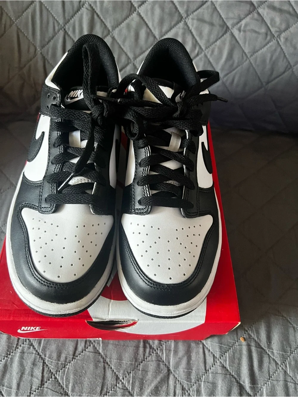 Nike iconic dunk